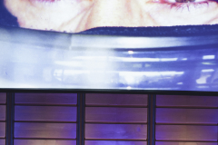 A Conversation with Damon Hill