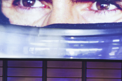A Conversation with Damon Hill