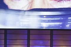 A Conversation with Damon Hill