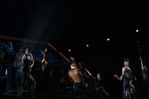 DSC 0409 (1)