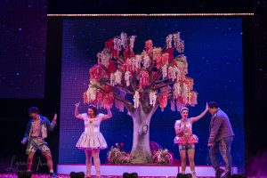 The Lovers Musical Sydney