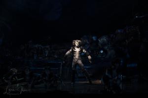 Cats the Musical Australian Cast