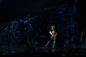 Cats the Musical Australian Cast