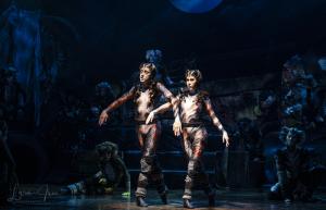 Cats the Musical Australian Cast