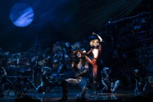 Cats the Musical Australian Cast