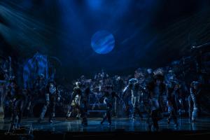 Cats the Musical Australian Cast