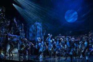 Cats the Musical Australian Cast