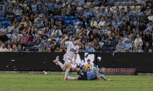 DSC 2972 (1) (1) (1) (1)