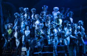 Cats the Musical Australian Cast