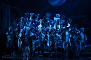 Cats the Musical Australian Cast