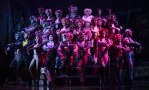 Cats the Musical Australian Cast