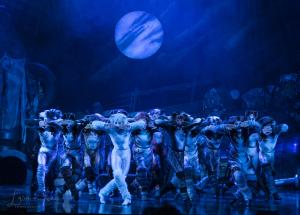 Cats the Musical Australian Cast