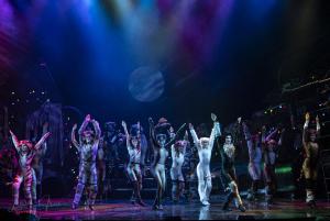 Cats the Musical Australian Cast