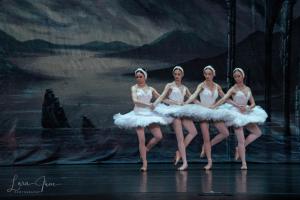 DSC 4544 (1) (1)
