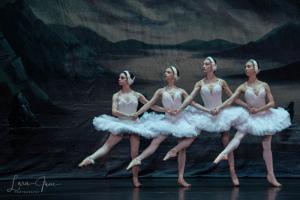 DSC 4546 (1)