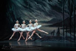 DSC 4658 (1) (1)
