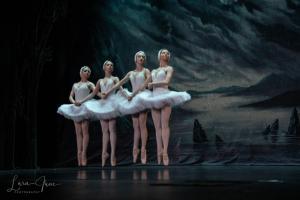 DSC 4681 (1) (1) (1)