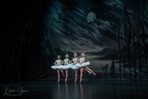 DSC 4714 (1) (1)