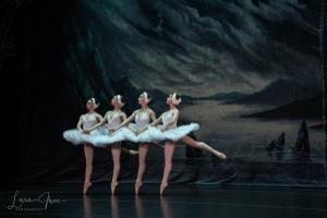 DSC 4725 (1) (1)