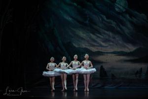 DSC 7398 (1)