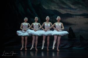 DSC 7404 (1) (1)